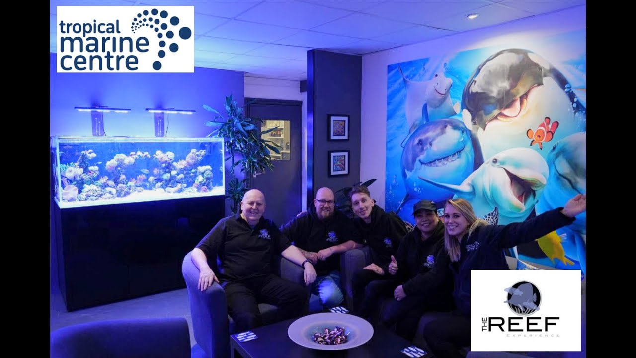 Out of the Offish with Colette Episode 7 -  The Reef Experience local fish shop tour