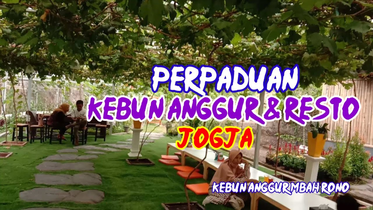 Viral Destinasi Wisata Perpaduan Kebun Anggur dan Resto ll Warung Ayam Goreng mbah Rono Jogja ll