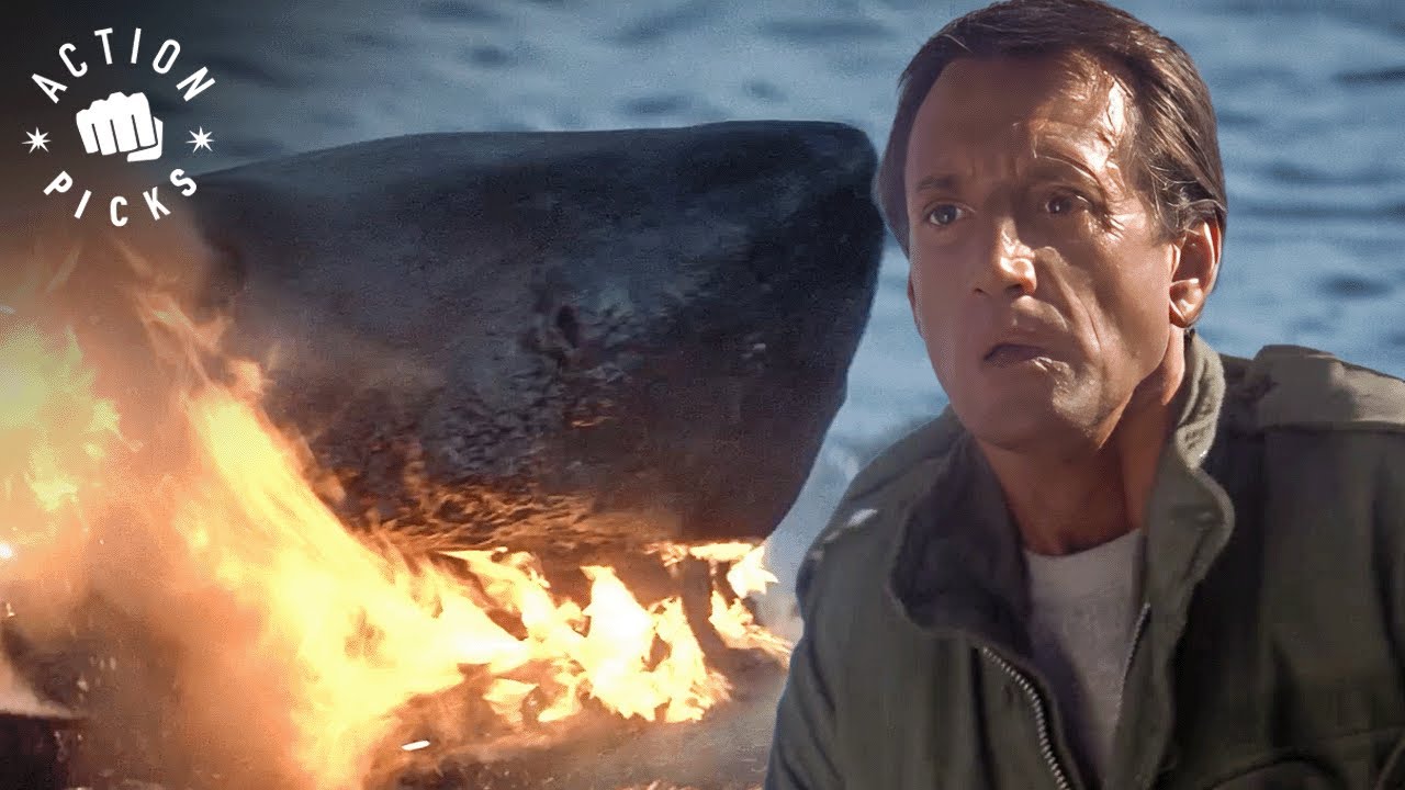 Final Showdown with the Shark | Jaws 2