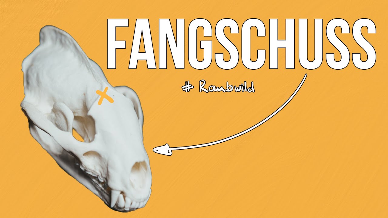 Freunde der Jagd - Folge 23 - Fangschuss I Fallenjagd