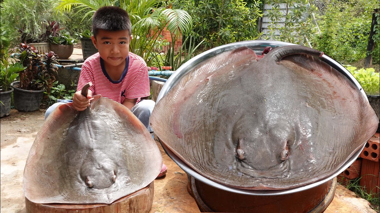 '' Big stingray '' Yummy stingray cooking with unique style - Chef Seyhak