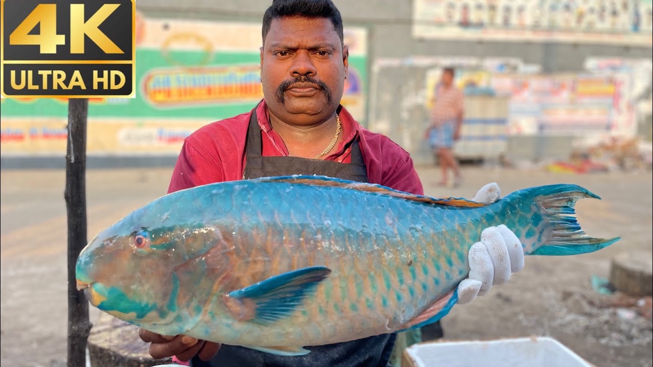 | KASIMEDU SPEED SELVAM PARROT 🦜 FISH CUTTING VIDEO PARROT FISH CUTTING SKILLS |🔪💥