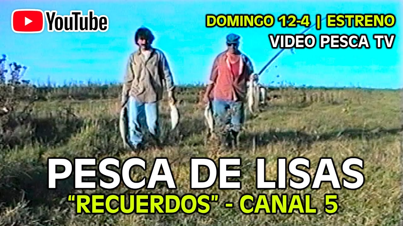 Pesca de Lisas en Canal 5 - 