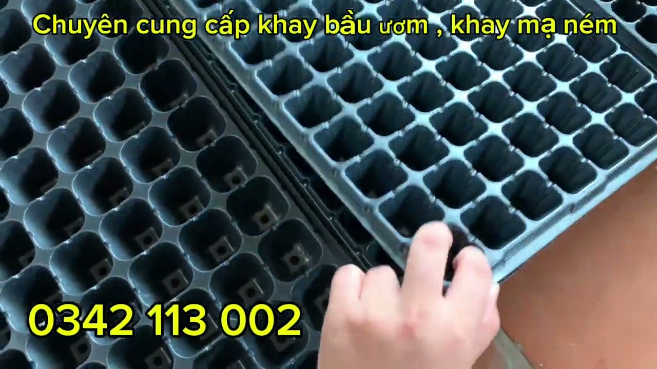 Khay 72 lỗ.  Ươm các loại cây giống 
