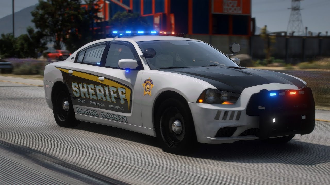 BSCO / LSCO Livery Package | Canine | Retro | DOT | SWAT | GHOSTED