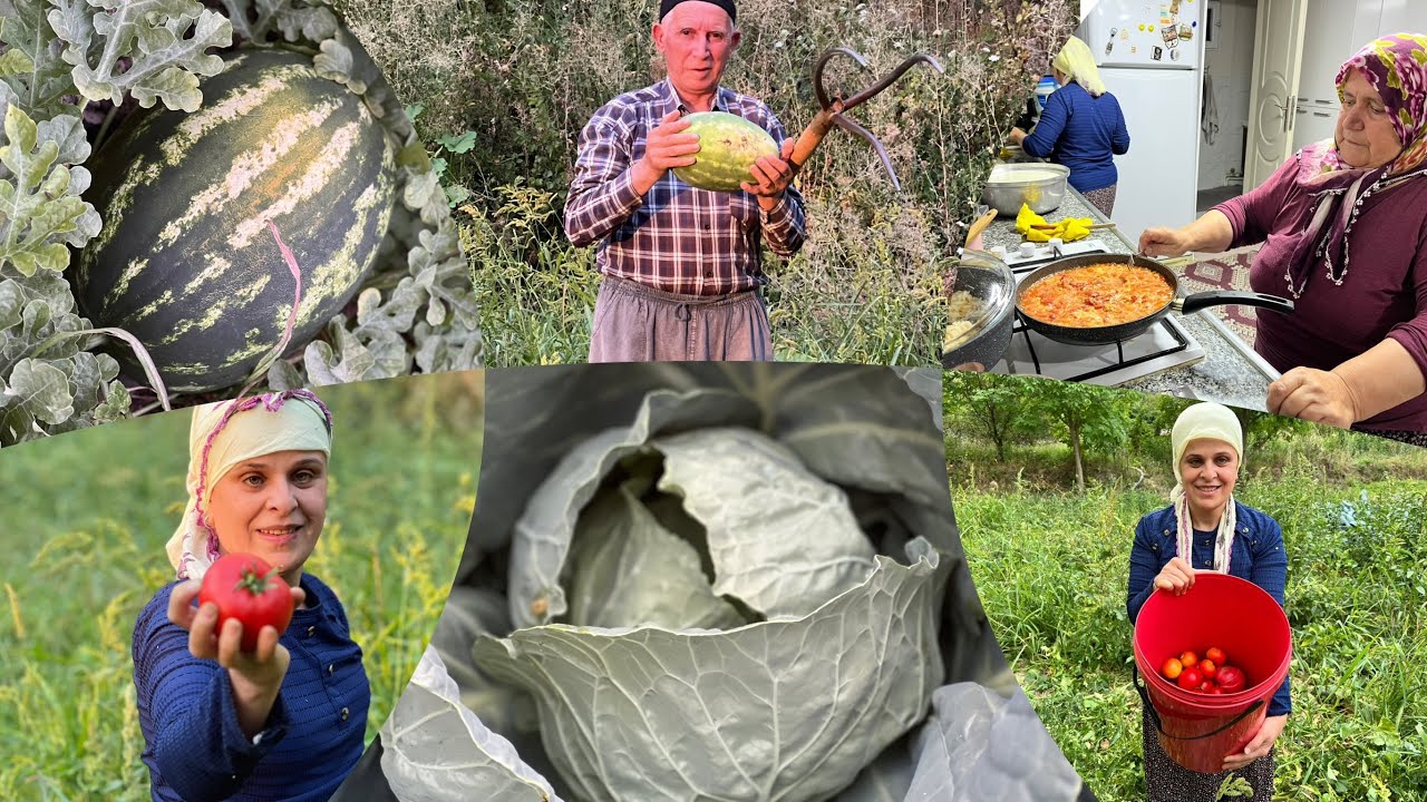 Bahçede kavun karpuz bolluğu domates topladık akşam menemen 