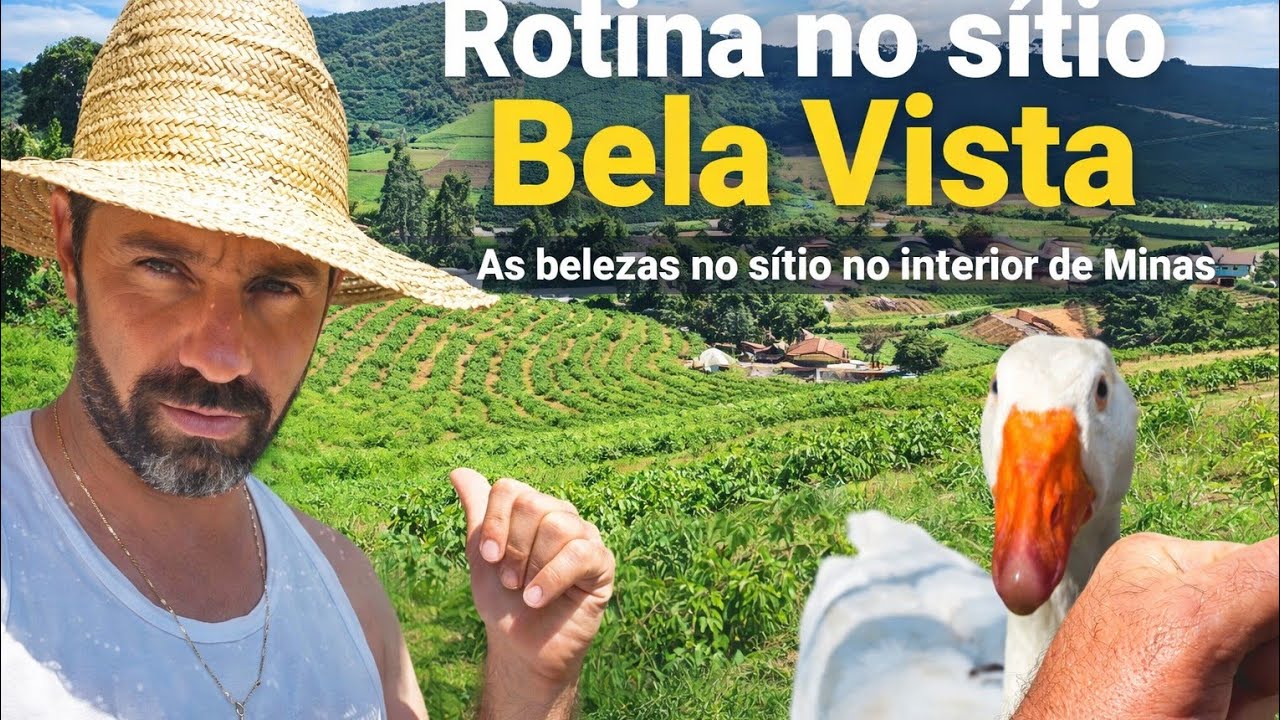 🌱🚜100 DIAS DA LAVOURA DE CAFÉ! 🌱 Rotina no Sítio Bela Vista.Depois das chuvas o sítio ficou lindo!