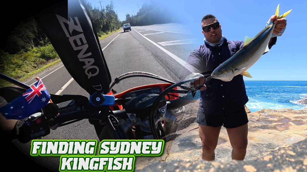 HUNTING SYDNEYS MOST WANTED FISH...........and burger