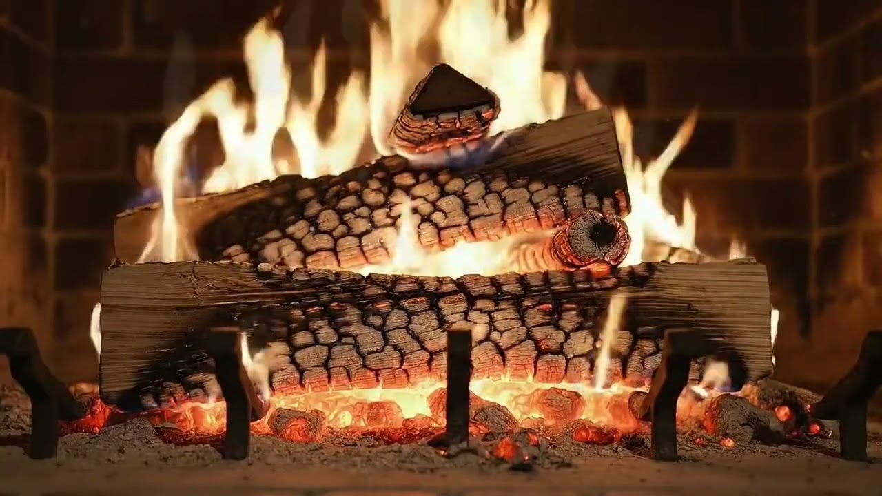 Campfire Sounds in the Forest 🌲 Cozy Night Ambience for Relaxing & Studying 4K ULTRA HD