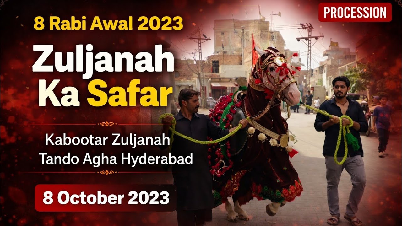 8 Rabi Awal 2023|Zuljanah ka Safar|Procession/جلوس|Kabootar Zuljanah|Tando Agha Hyderabad