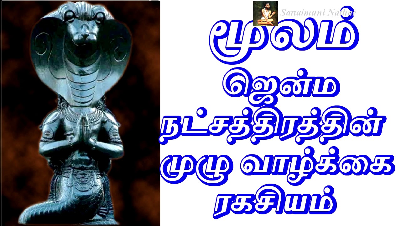 மூலம் ஜென்ம நட்சத்திரம்|27natchathirangal|aanmeega valipadu in tamil|spiritual|moolam|aanmeegam|