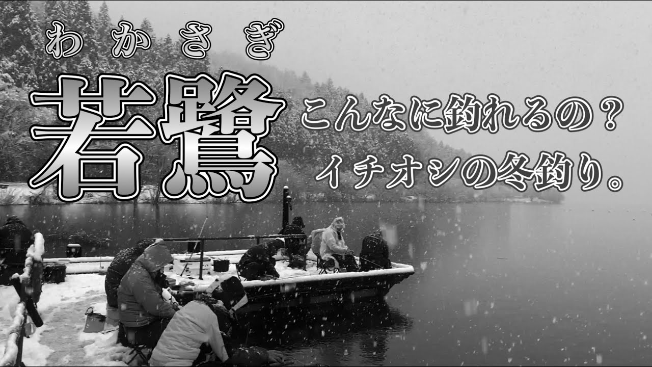 わかさぎ（若鷺）釣り in 余呉湖