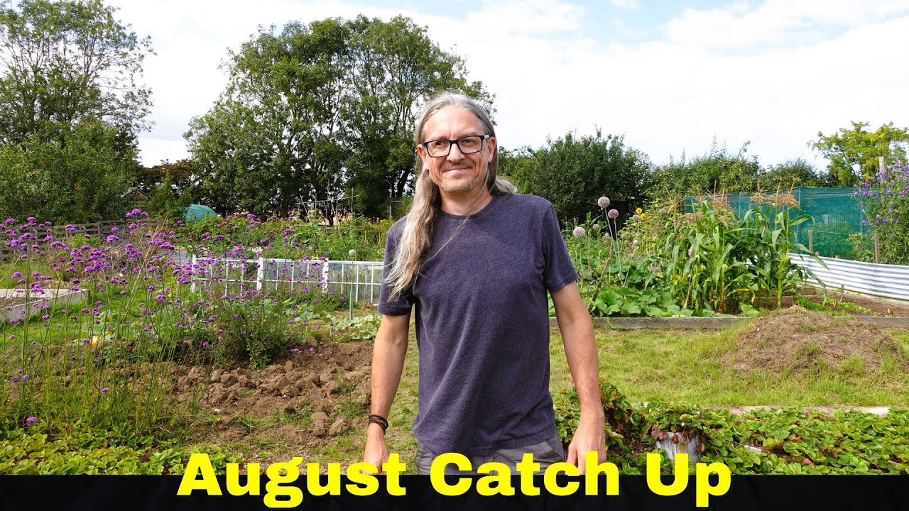 August Catch Up - Highs, Lows, some Fruit, Potato and Chilli Harvests and a Full Allotment Plot Tour