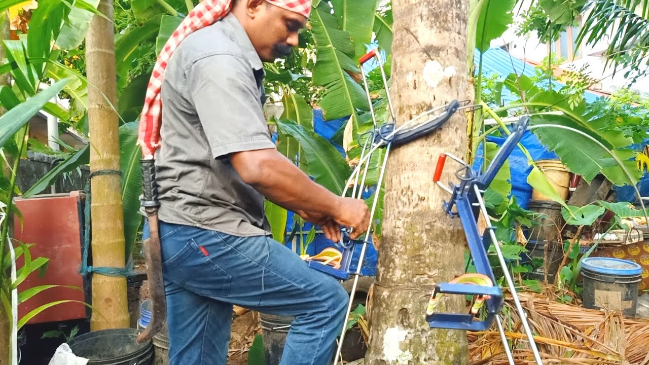 Coconut Tree Climber/ തെങ്ങു കയറ്റം എളുപ്പം പഠിക്കാം/