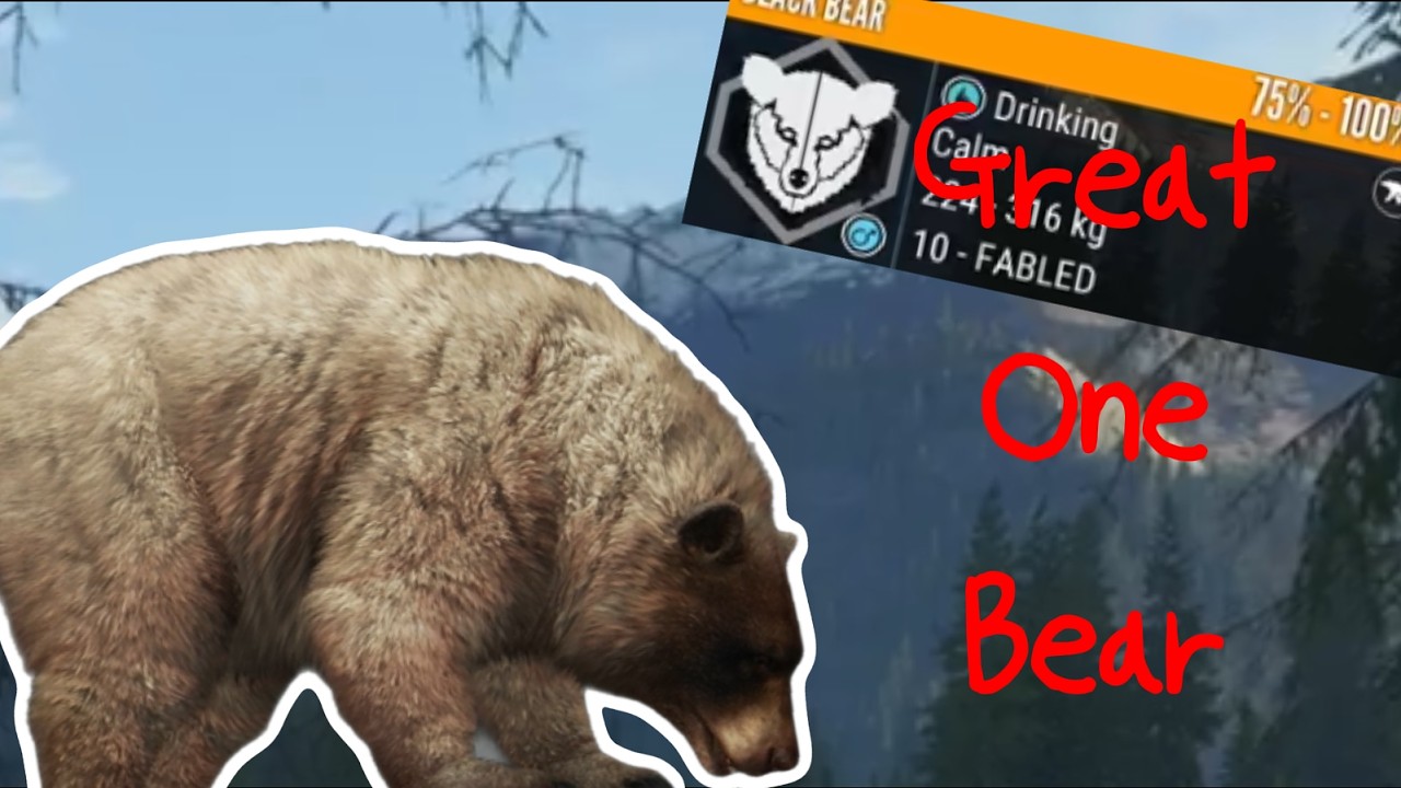I Got A GREAT ONE Black Bear In 229 Kills!
