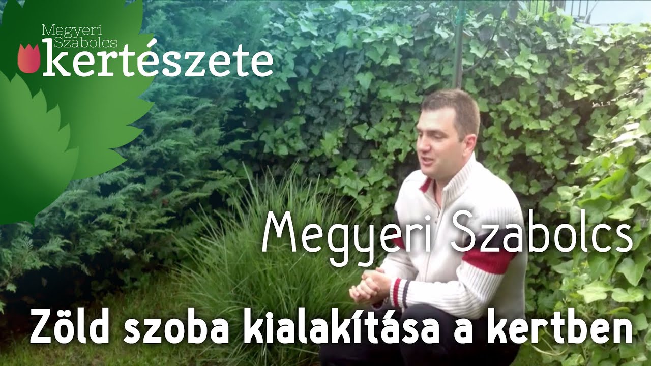 Kerttervez&eacute;s &ouml;tletek - z&ouml;ld szoba kialak&iacute;t&aacute;sa -  Megyeri Szabolcs Kert&eacute;szet