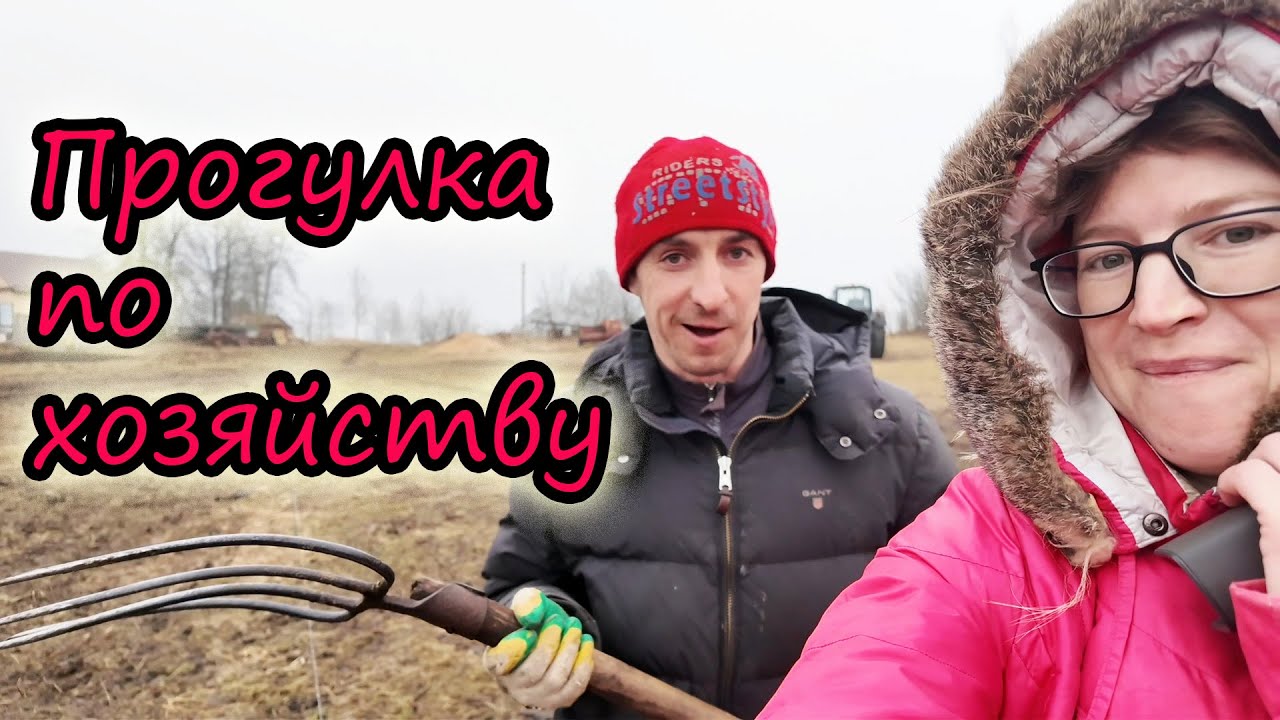 Прогулялись по своему хозяйству // Коровы // Телята // Свиньи // Жизнь в деревне