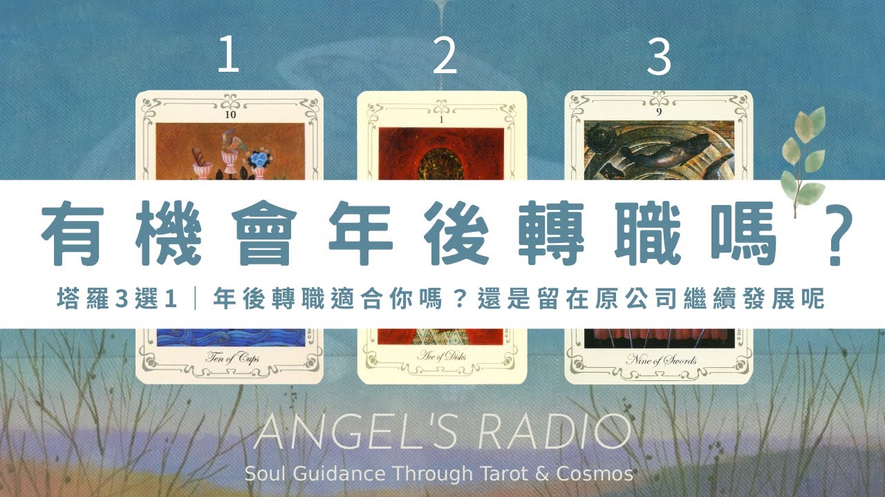 你應該換工作嗎💼還是要留在原公司發展呢？屬於你的職場突破｜塔羅3選1｜大眾占卜｜工作突破 x 未來方向解析｜年後轉職｜✨Timeless🐈‍⬛無時間限制