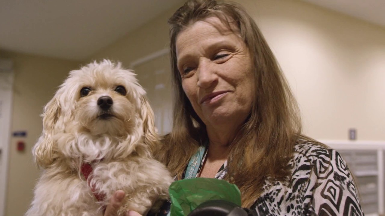 2016 OHFA Customer Stories Video