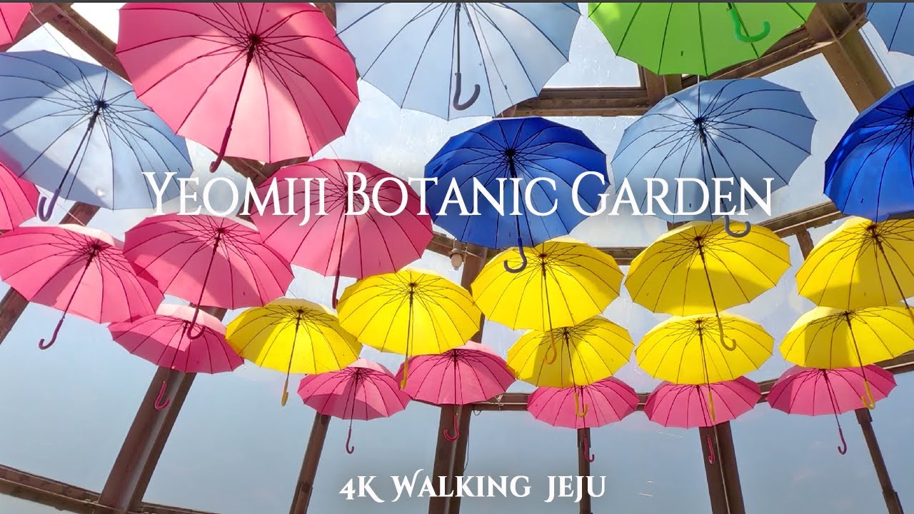 Yeomiji Botanic Garden, Jeju | Tropical Plants & Garden Walk | 4K