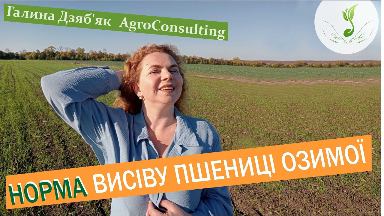 Вагова норма висіву: як розрахувати, від чого залежить?