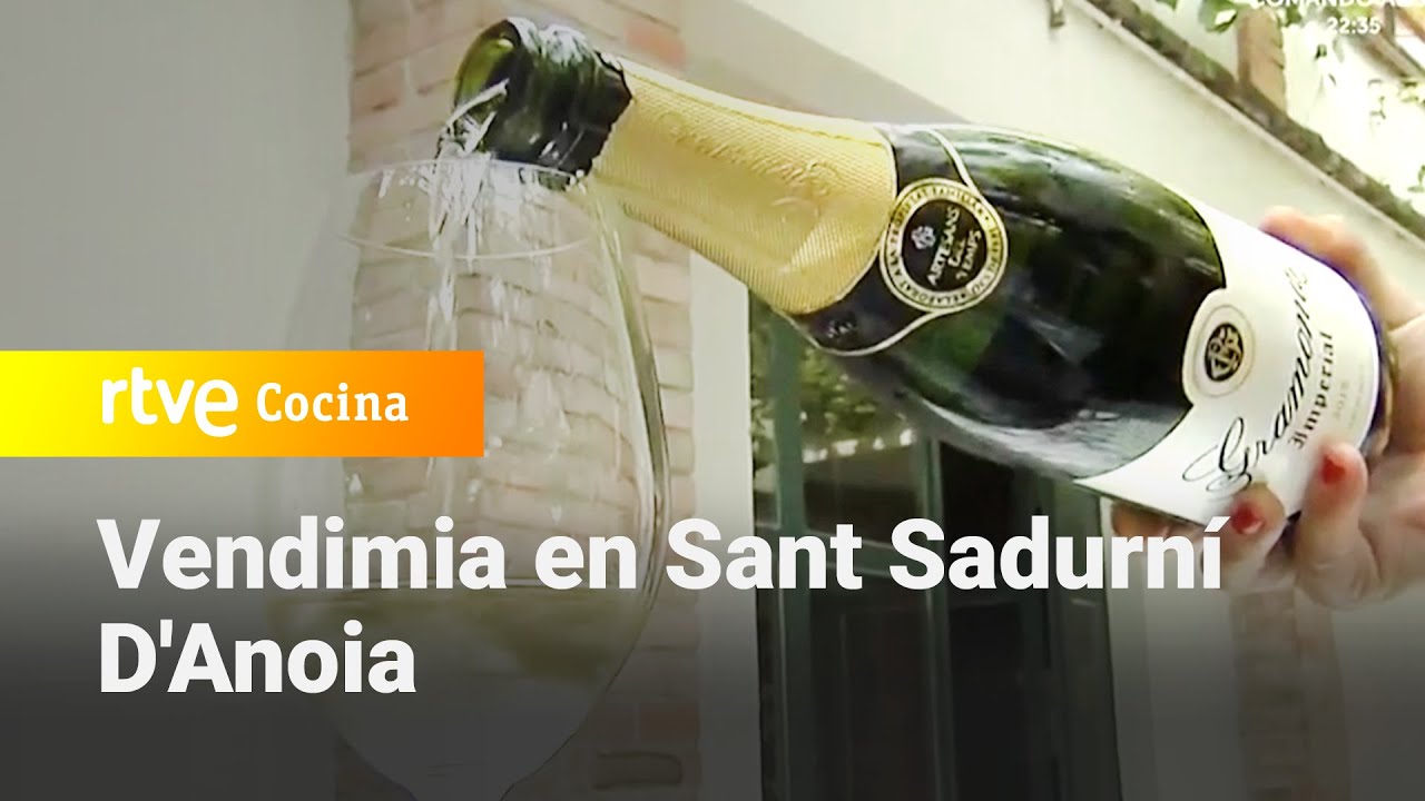 Vendimia en Sant Sadurní D'Anoia - España Directo | RTVE Cocina