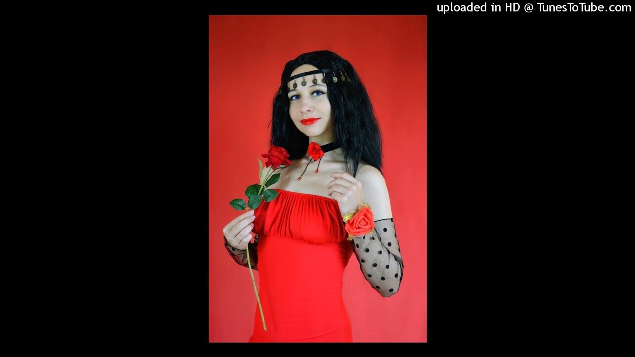 WIR SIND MEHR - Das Gypsy Punk Finale mit Gänsehaut-Chor