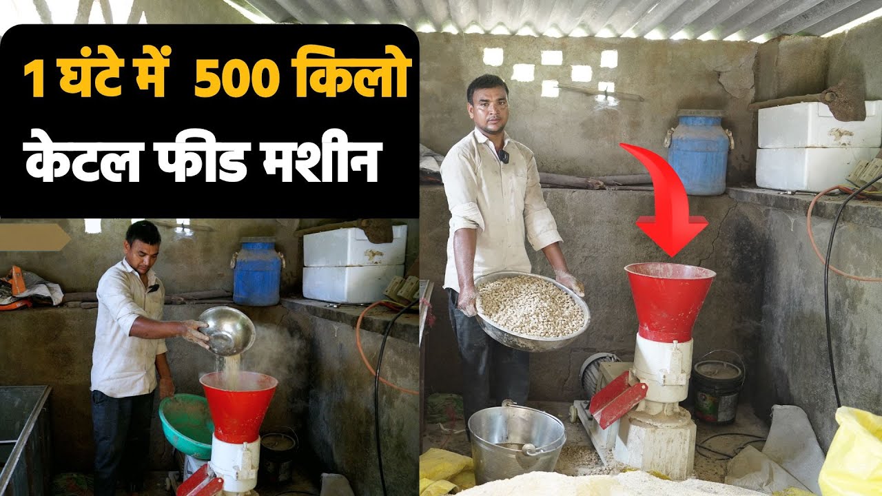 Khachrol Bhilwara: Cattle Feed pellet machine earns lakhs by adding water to cow dung - SIGMATECH...