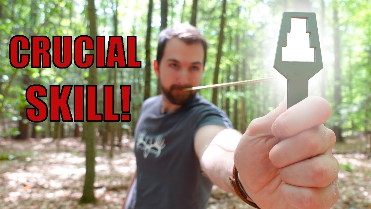 How to Measure Basal Area Per Acre (Three Methods!)