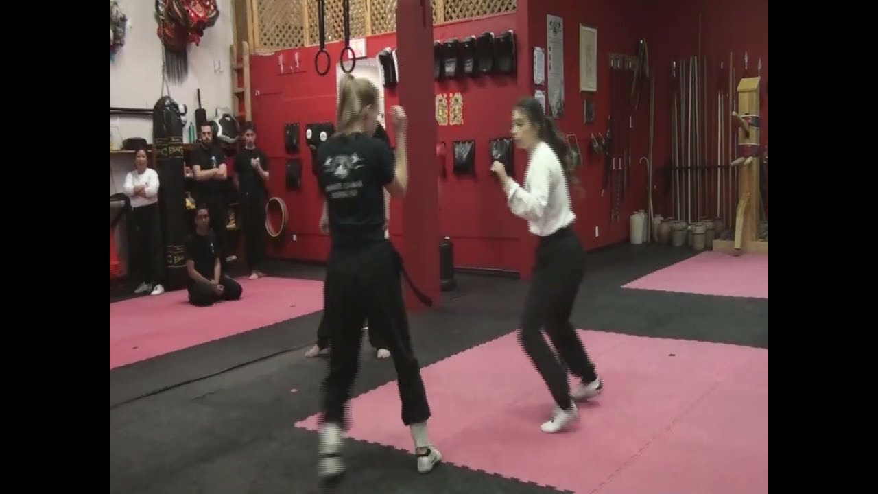 Les demoiselles du kung fu de la Grue Blanche 2024