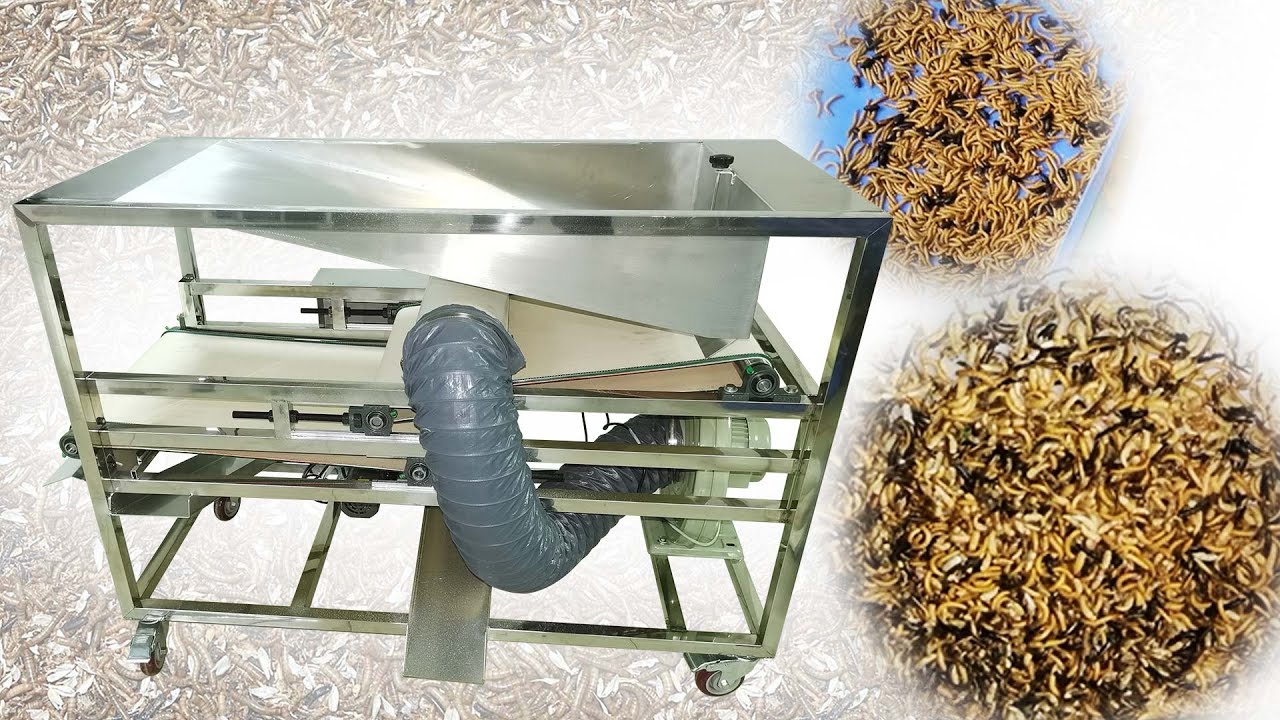 Mealworm Sorting Machine for Live & Dead Worms- Mealworm Separator for Sale Used in Mealworm Farming