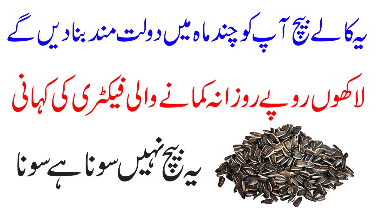 Suraj Mukhi Beej Ka Business 2025 | Sunflower Seeds Ka Karobar Kaise Shuru Karein