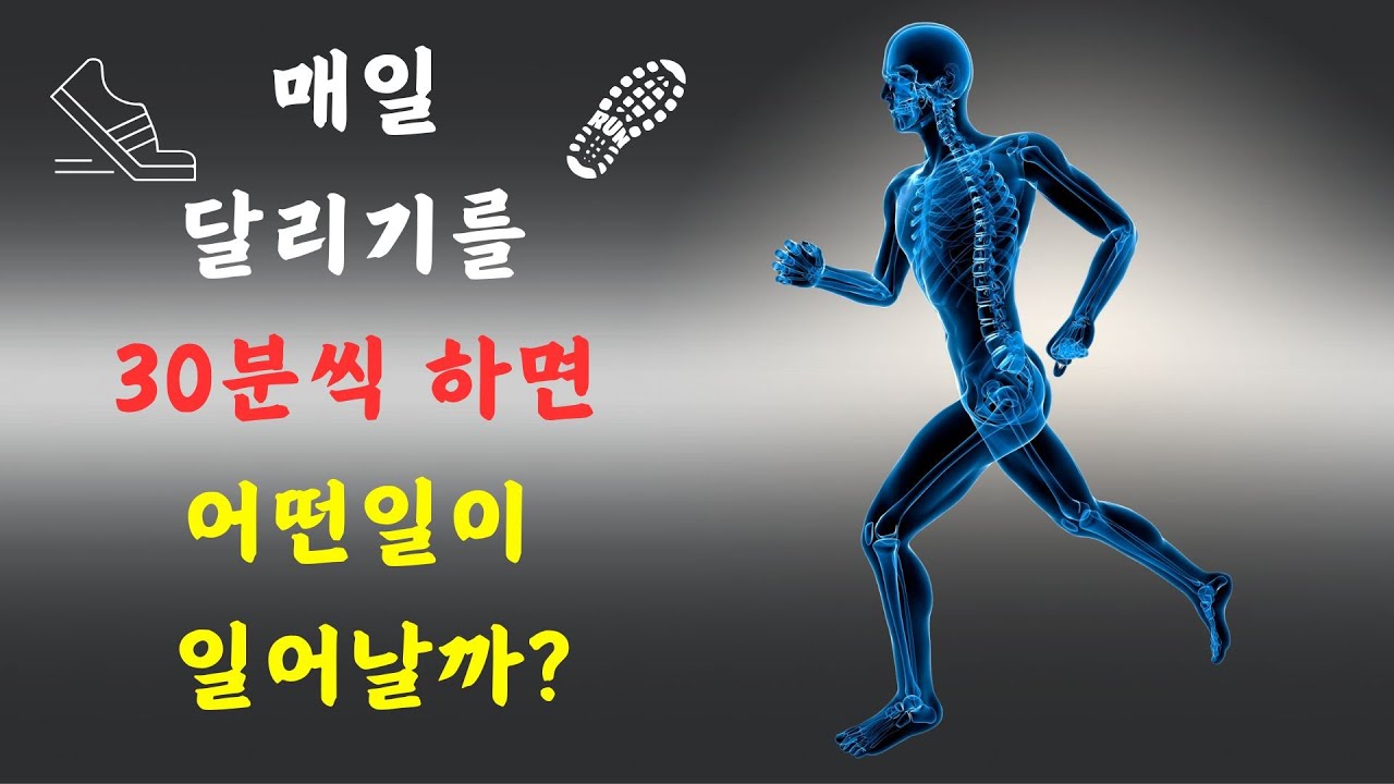 매일 달리기를 30분씩 하면 어떤일이 일어날까?