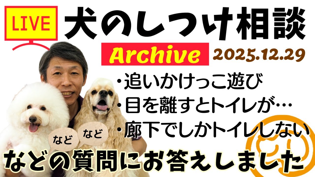 犬のしつけ相談ライブ☆ゲリラライブ【2025/12/29】