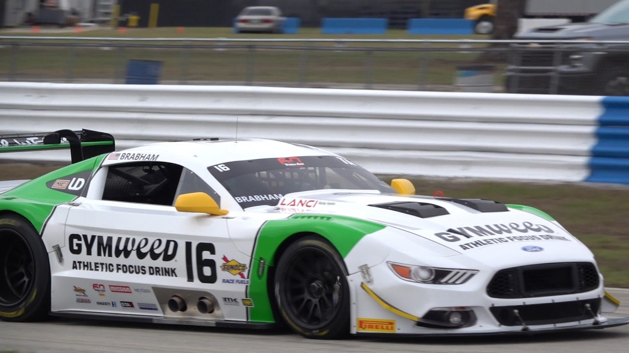 Trans Am Series -  TA/GT | Racing America at Sebring 3-1-2026