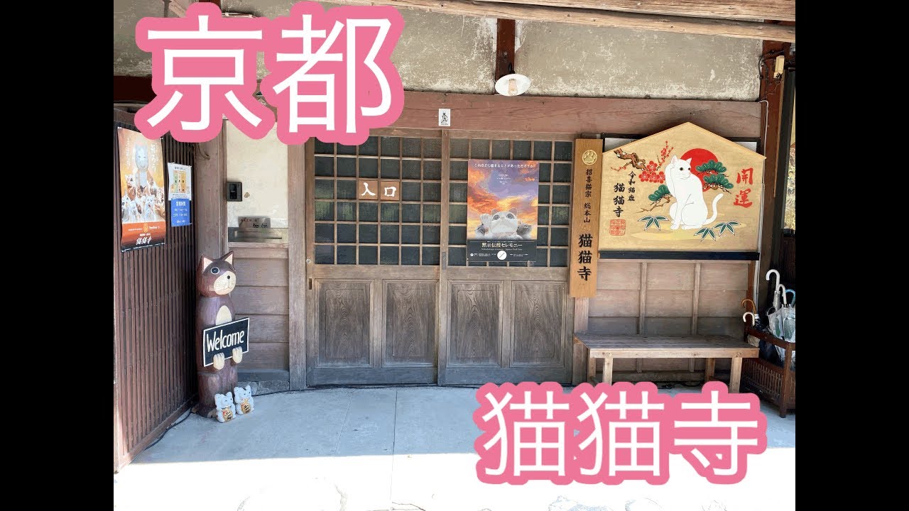 [猫猫寺]におじゃましました！すごい魅力的な作品が多数ありました。