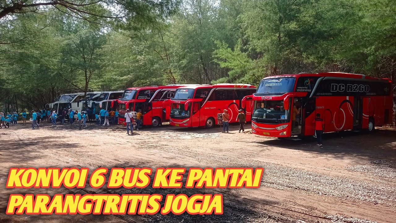 HUNTING BUS PARIWISATA DI PANTAI PARANGTRITIS JOGJA