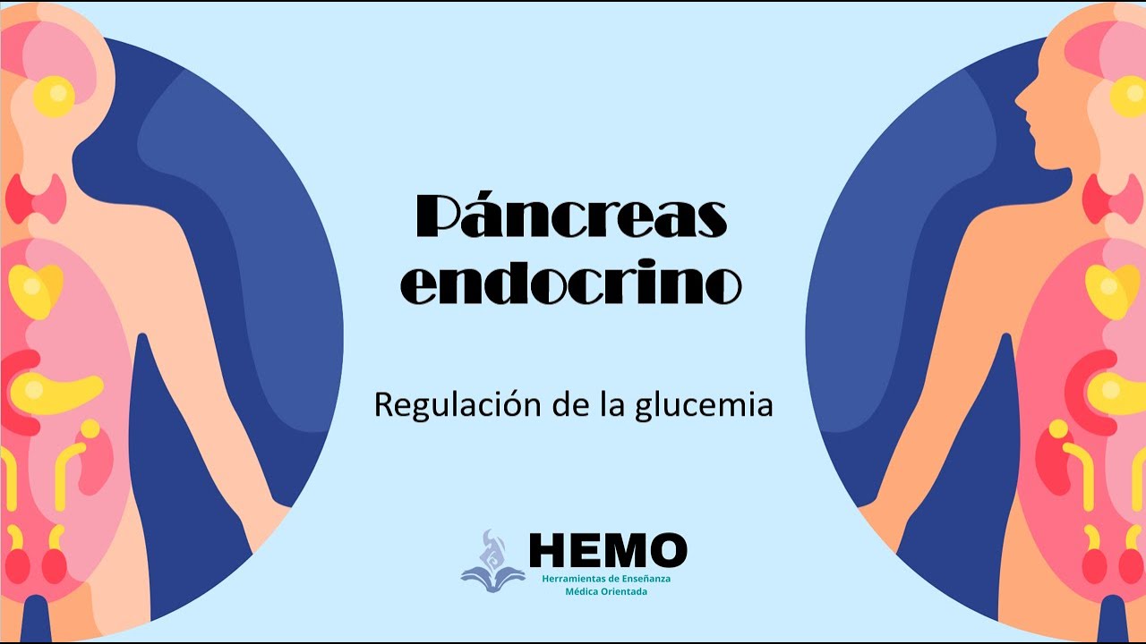 Páncreas: Regulación glucemia