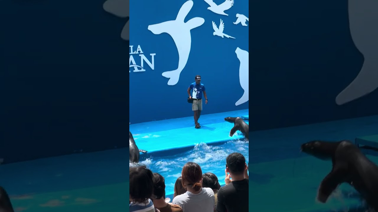 MANILA OCEAN PARK | Ading Sab’s birthday celebration 🎂🎉🎊🎈🎁