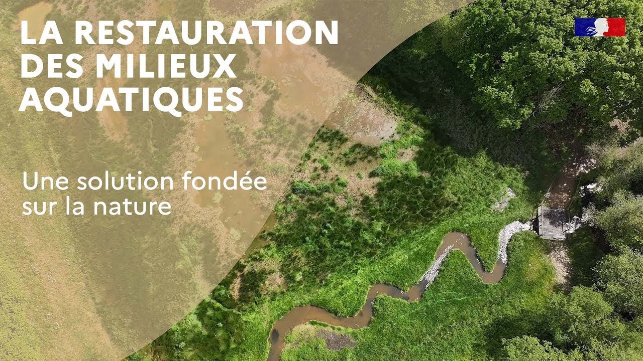 La restauration des milieux aquatiques, une solution fondée sur la nature
