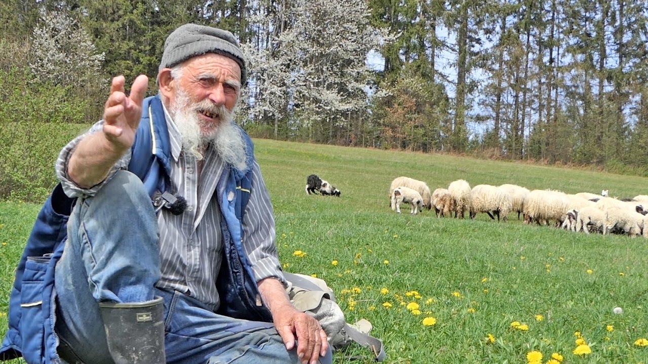 Dođe mi čovjek i donese što ni u snu nisam sanjo