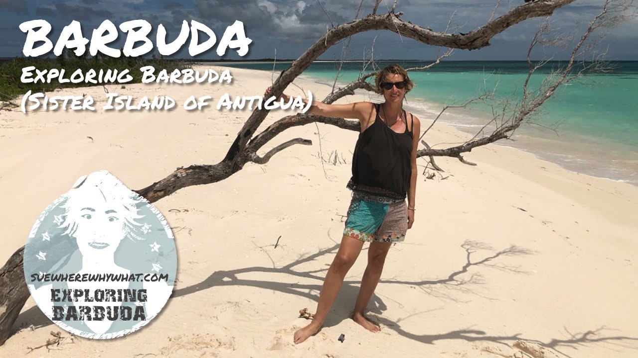 What To Do In BARBUDA for Solo Female Travellers 40+ | MUST DO’s