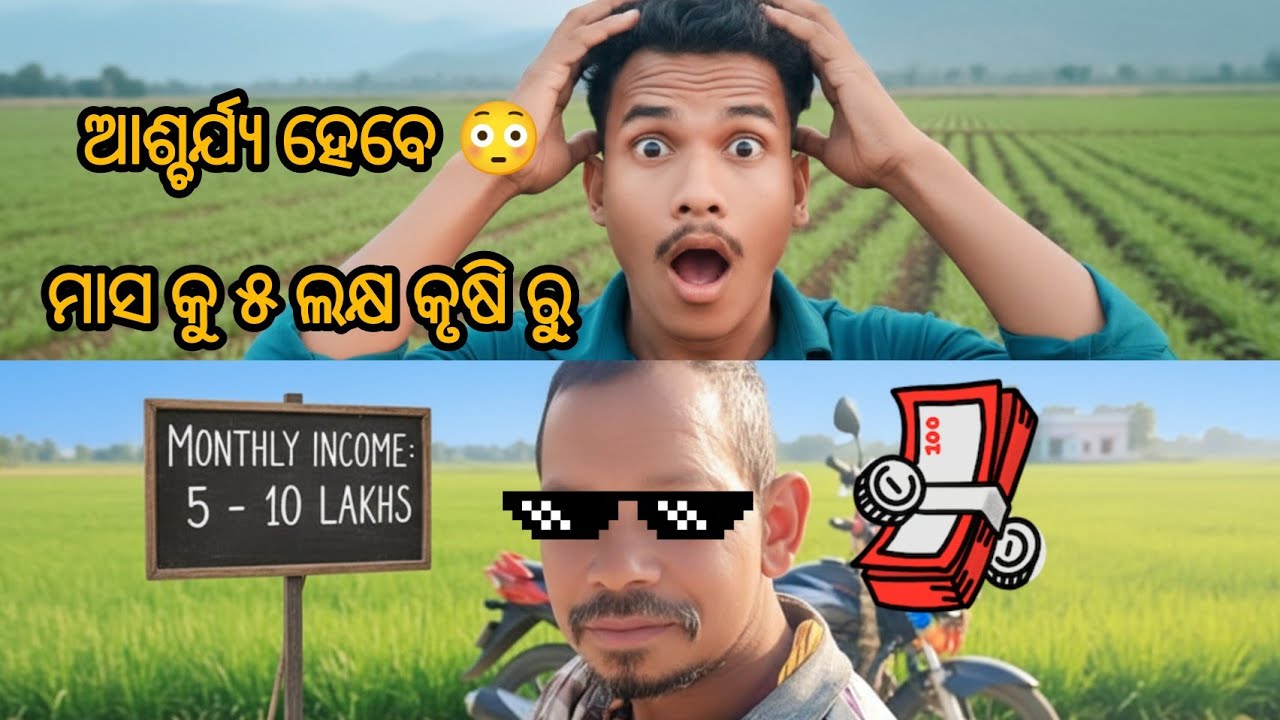 DAY 54( ମାସାକୁ 5 ଲକ୍ଷ କୃଷି ରୁ ଆଶ୍ଚର୍ଯ୍ୟ ହେବ | 😳#viral #vlog 365 day Dally vlogging challenge 