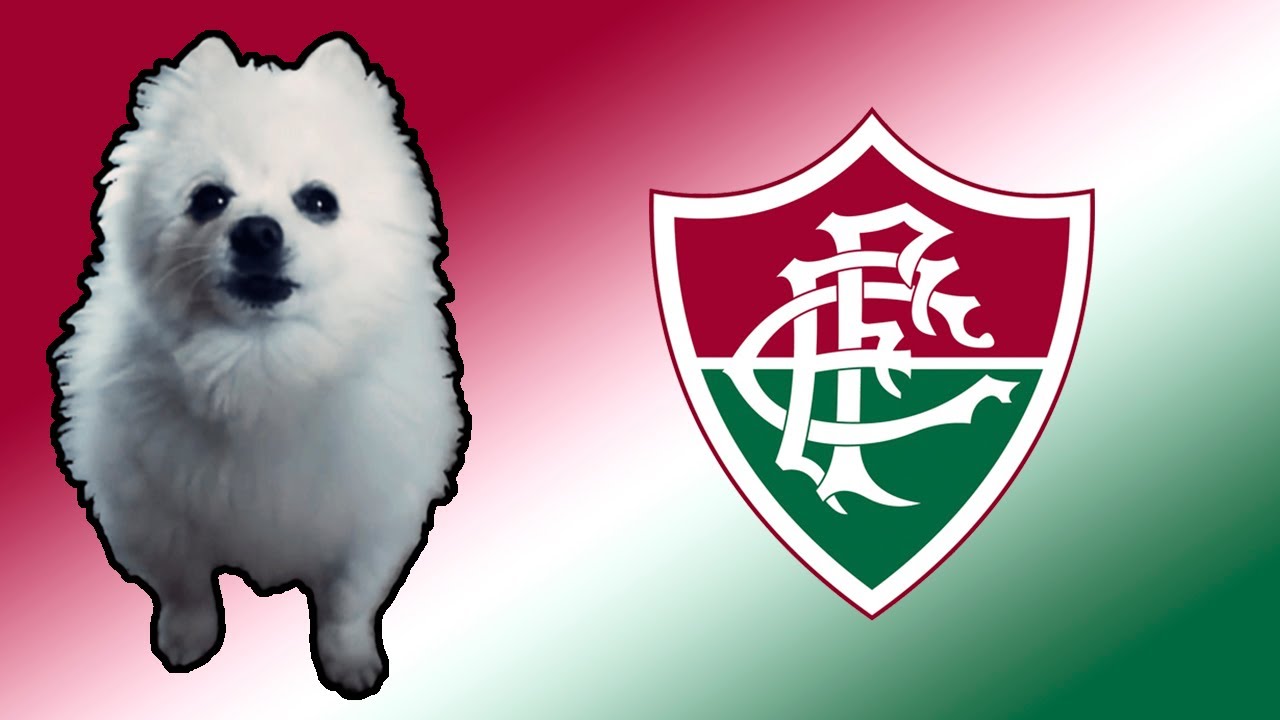 Hino do Fluminense em cachorrês | FUTEBOL
