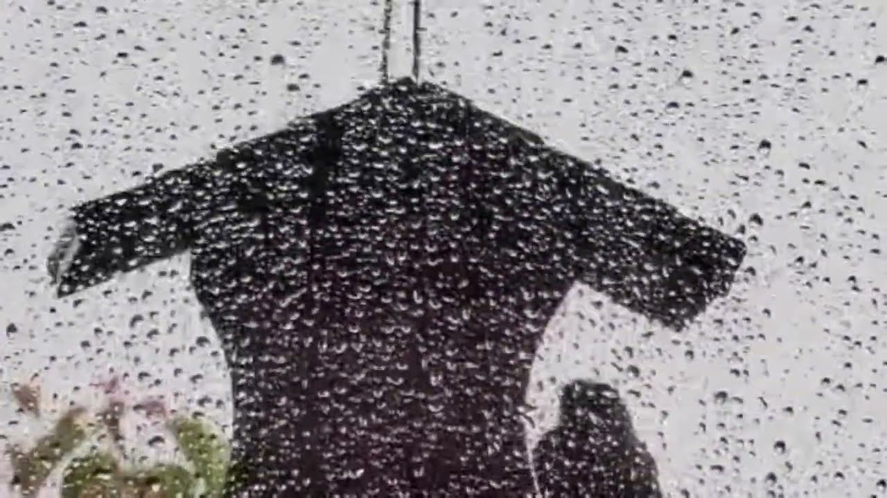 Heavy Rain Sounds in Forest and Town &ndash; Cool Relief from Summer Heat