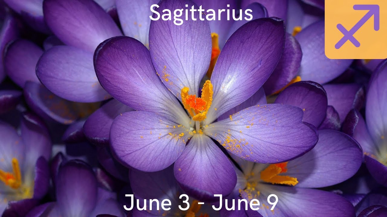 Sagittarius ♐ - THEY ARE READY TO PUT UP A FIGHT FOR YOU !