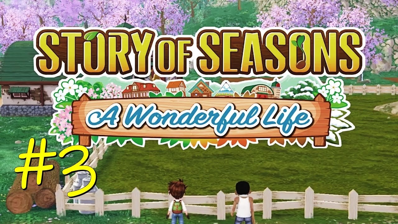 AND THEN THERE WAS ONE?   STORY OF SEASONS: A WONDERFUL LIFE #3