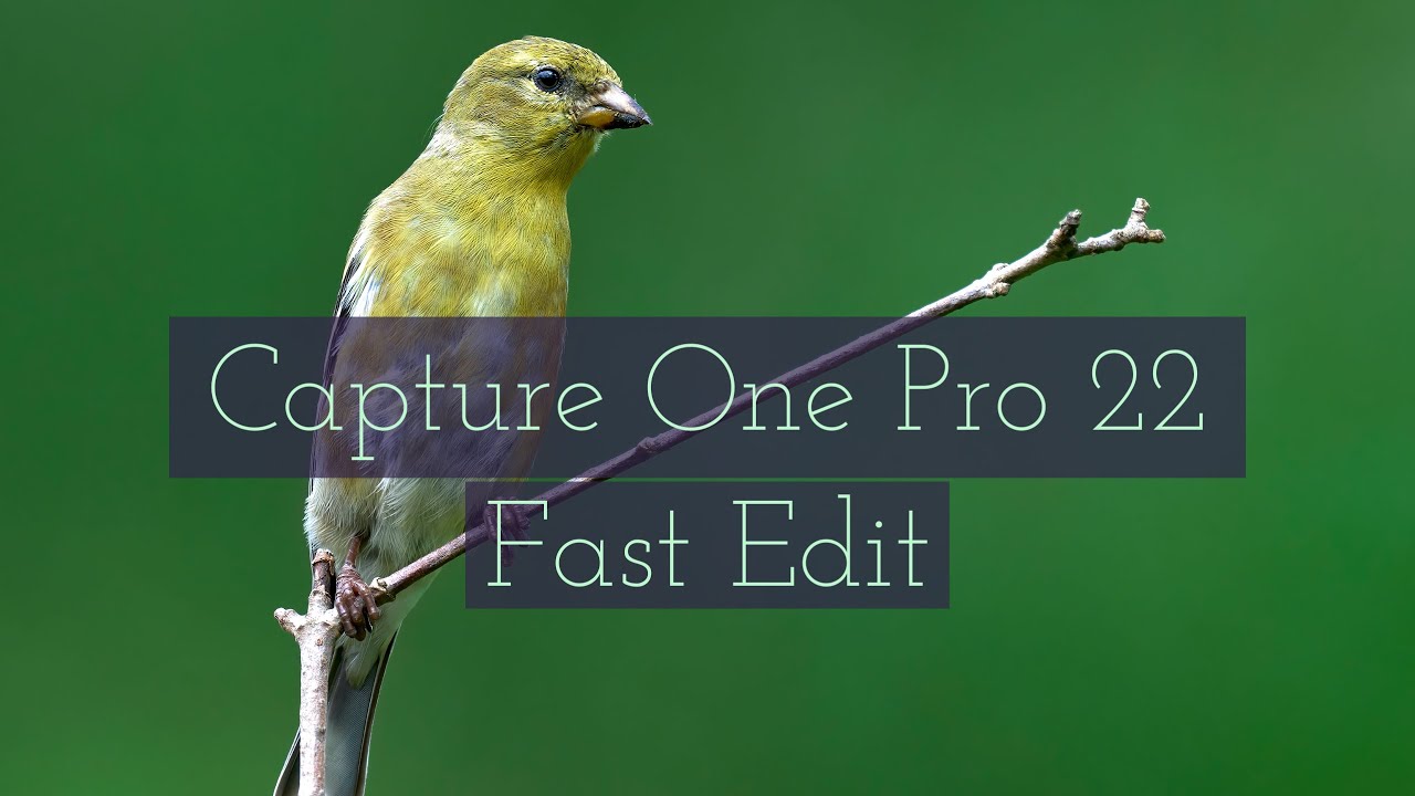 How to edit a RAW Photo in Capture One Pro 22 | Fast Intro Edit