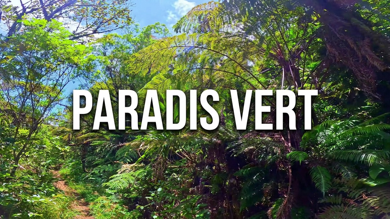 🇷🇪Défi Rando 🏆SENTIER PITON BÉBOUR🏆 (Les Plaines) ٭𝚁𝚎𝚞𝚗𝚒𝚘𝚗🇷🇪 #randonnée #iledelareunion #travel