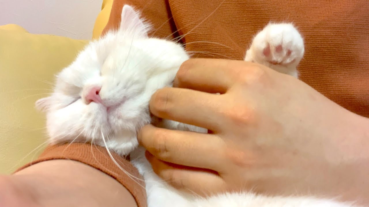 久しぶりの再会に堪らずモフりまくりました！